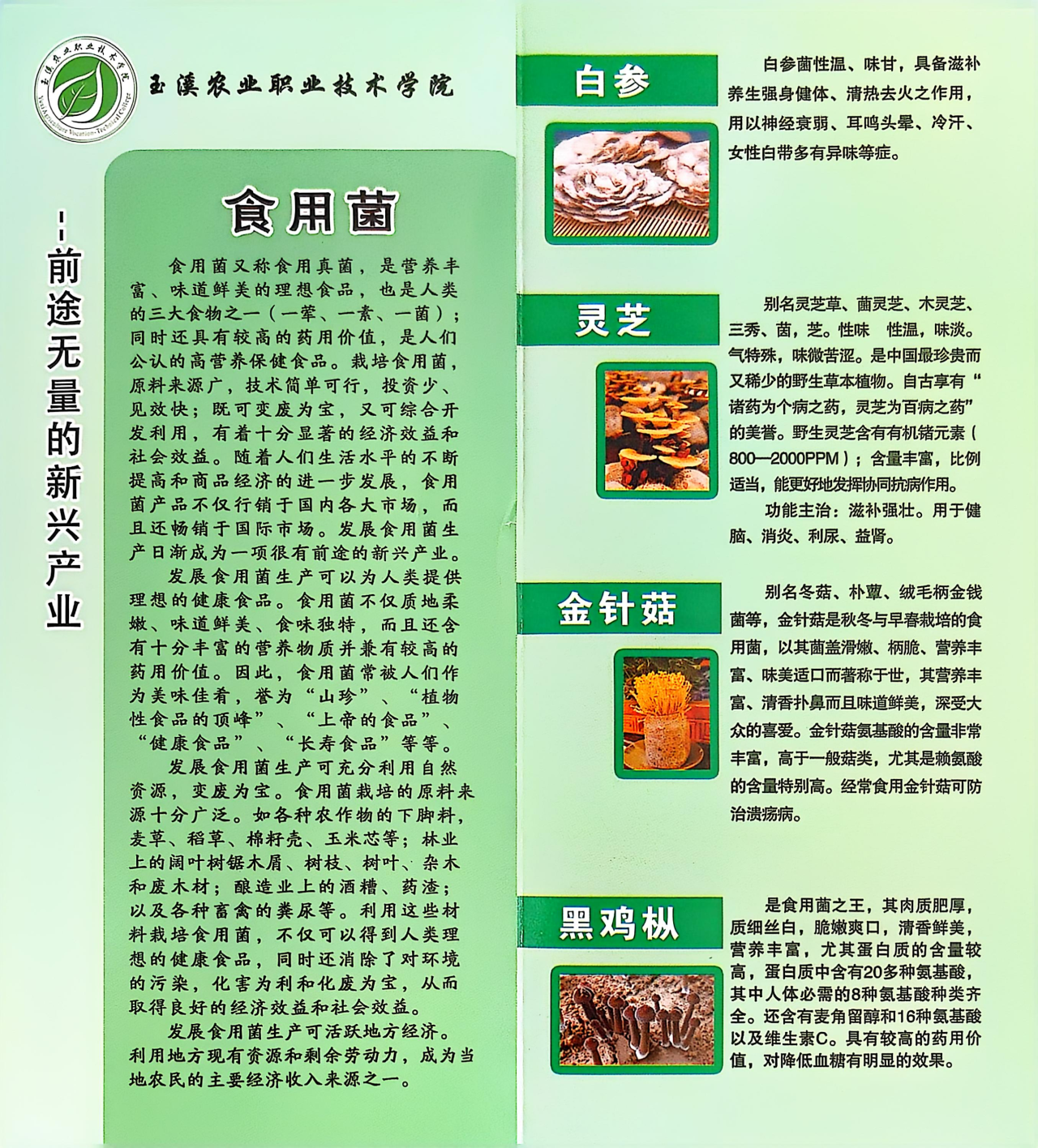 微信圖片_20250310201058.png 微信圖片_20250310201058.png